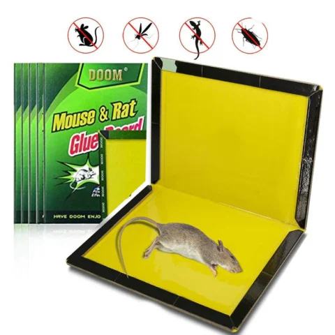 Expert Mouse Glue Trap Sticky Board Catcher